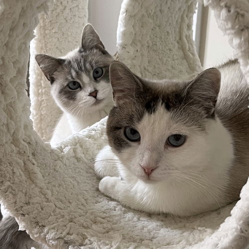 Remi & Sadie