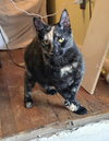 Mia - Photo 3