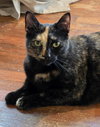 Mia - Photo 1
