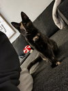 Mia - Photo 7