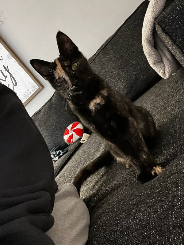 Mia