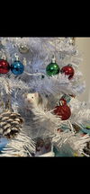 Stuart Little