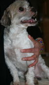 Gordy