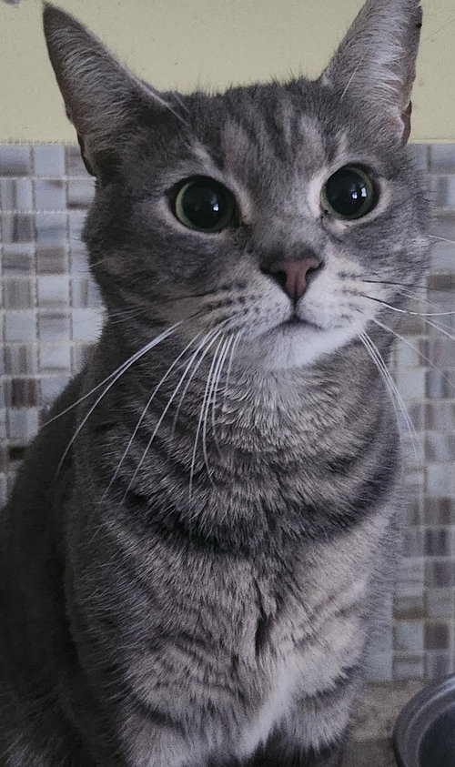 Della