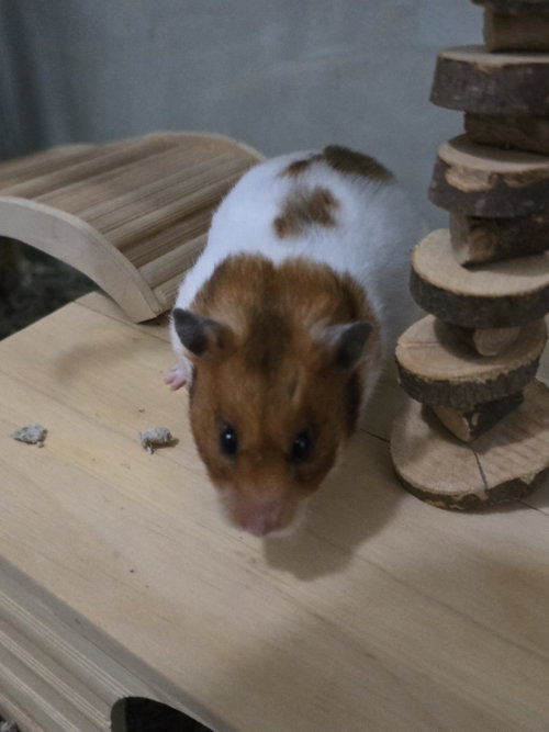 Photo 2 of Sophie