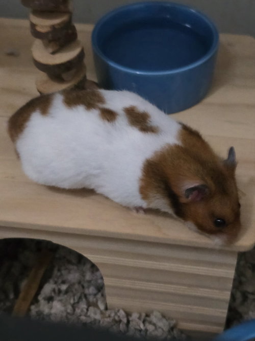 Photo 3 of Sophie