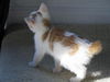 Bobby *Video*
