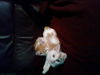 Bobby *Video*