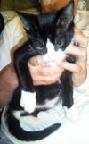 Woodrow