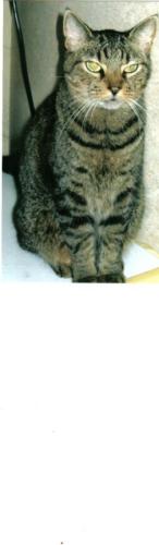Purry