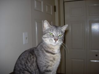 Nina