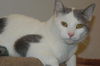 Frazier