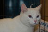 Neena (Deaf) *video*