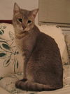 Misha