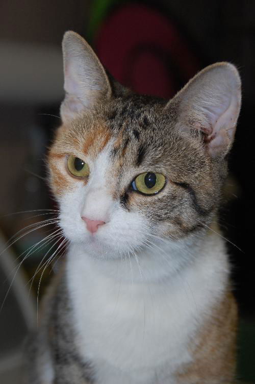 Delilah