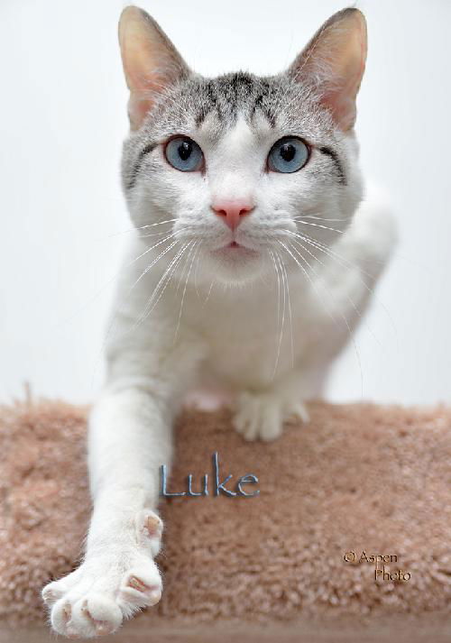 Luke