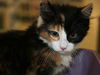 Esme