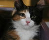 Esme