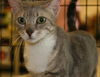 Libby