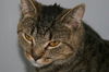 Jinxy