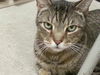 Leonard
