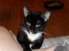 Eleanor *Video*