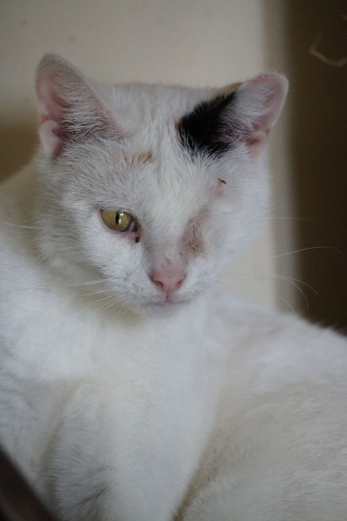 Gwendolyn
