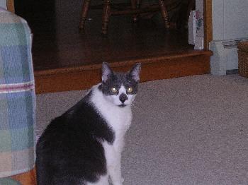 Rocky