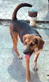 Maverick - Photo 4
