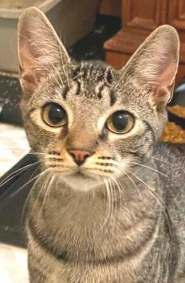 Kimmie Image