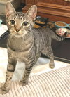 Kimmie - Photo 4