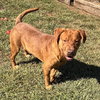 Otto - Photo 2