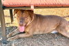 Otto - Photo 3
