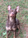 Cinder - Photo 4