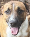 Murphy - Photo 1