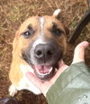 Murphy - Photo 2