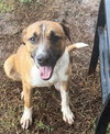 Murphy - Photo 3