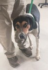 Tracker - Photo 2