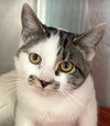 Diego - Photo 1