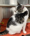 Diego - Photo 3
