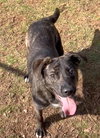 Raisin - Photo 3