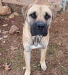 Shiloh - Photo 4