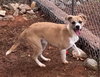Griffin - Photo 3
