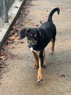 Hamm - Photo 3