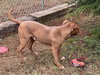 Nash - Photo 4