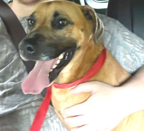 Hank photo 2