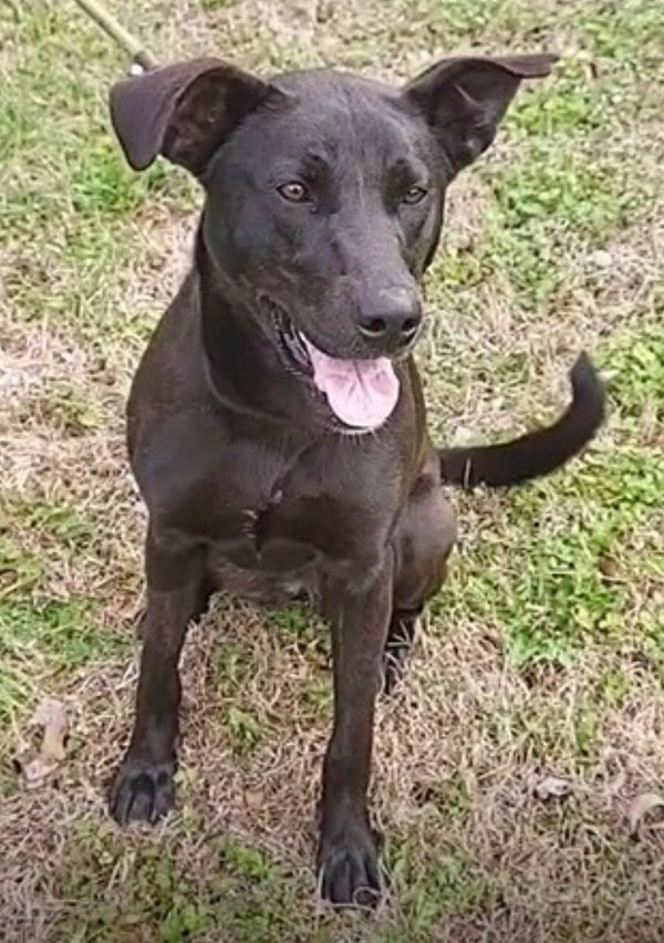 Ellie