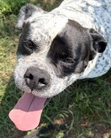 Frank photo 3
