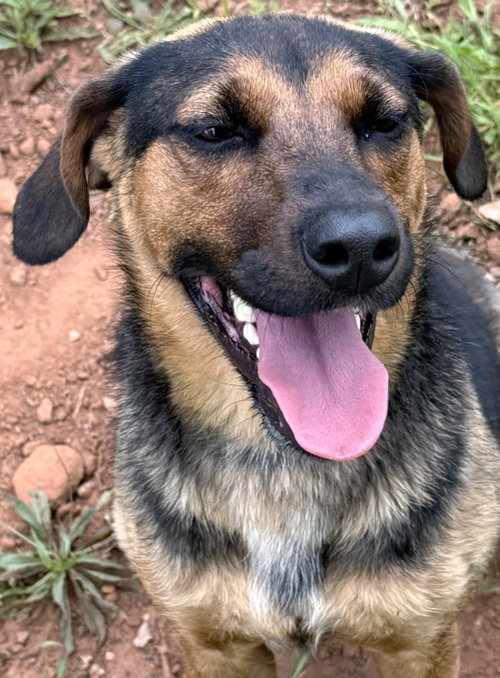 Isla