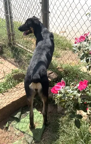 Nora image 2